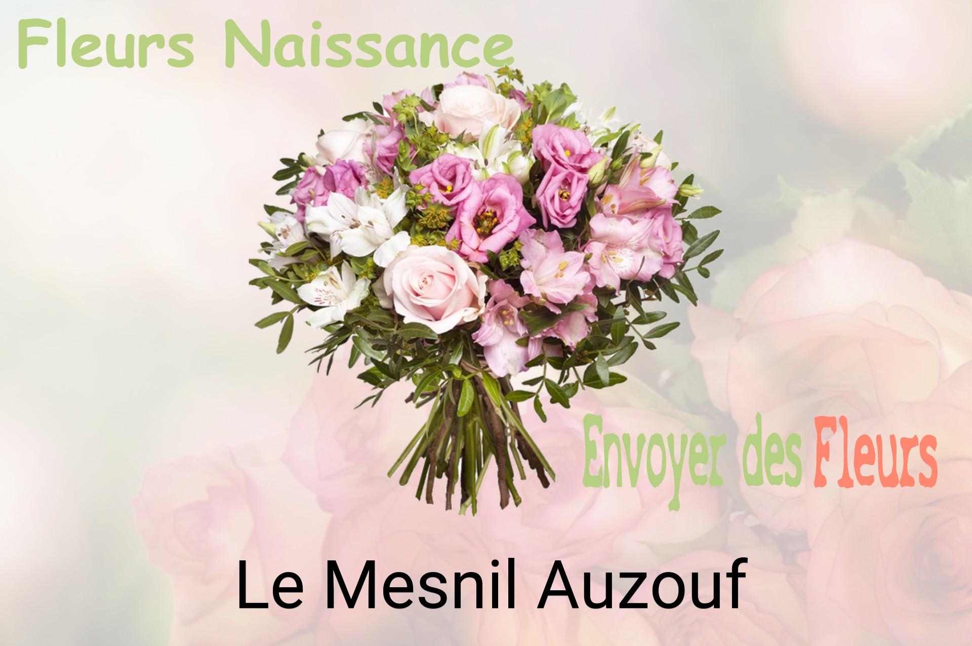 Bouquet de fleurs de naissance livré à Le Mesnil-Auzouf